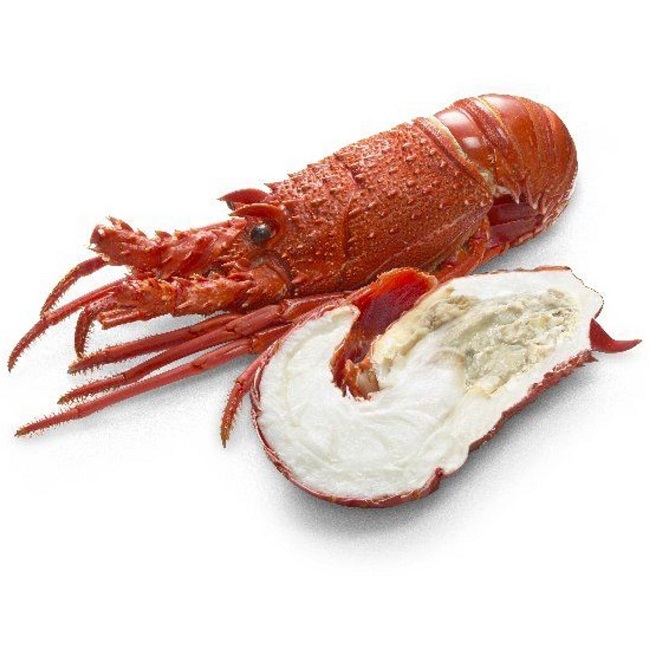 rock-lobster